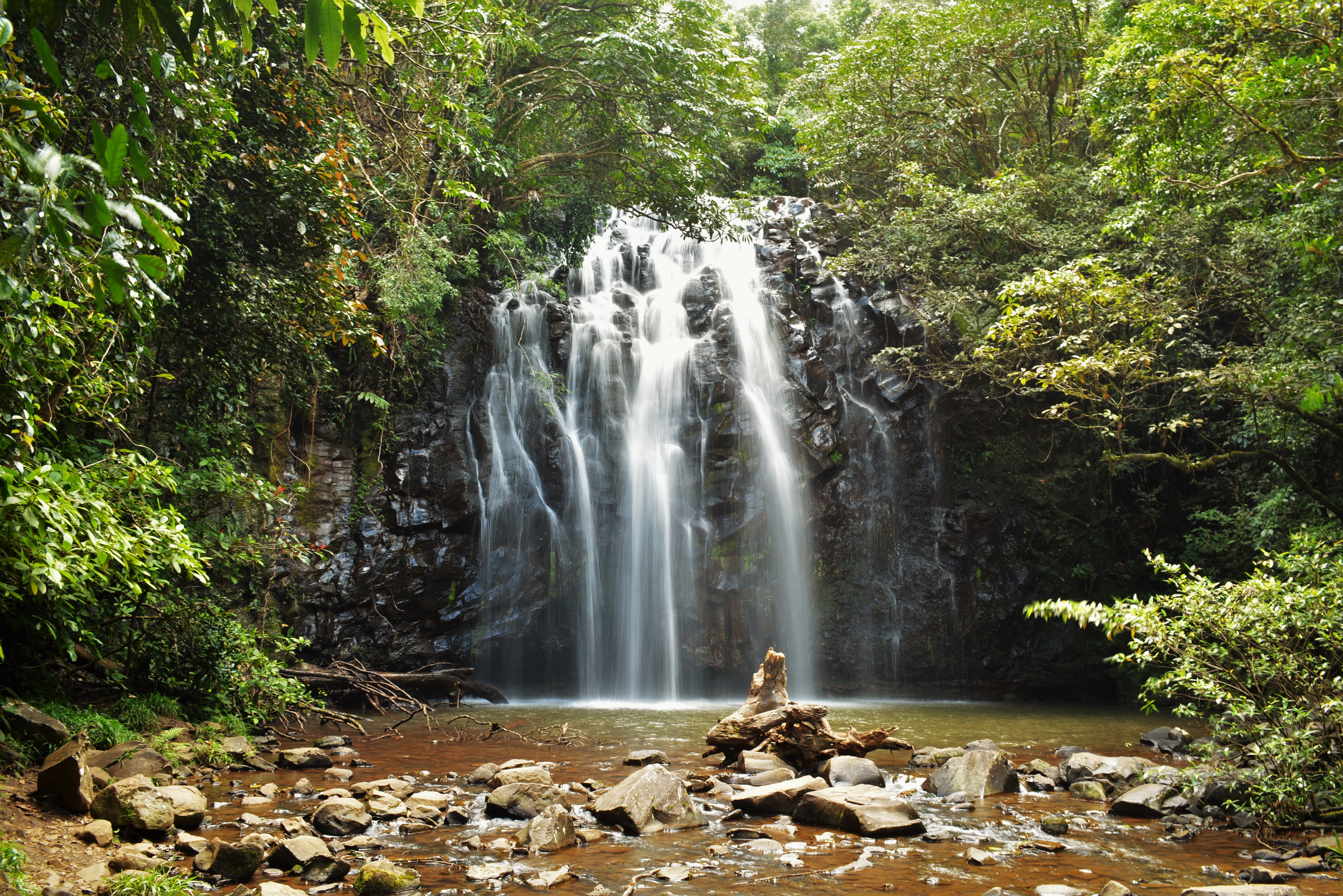 Chasing Waterfalls in the Atherton Tablelands Woody World Packer