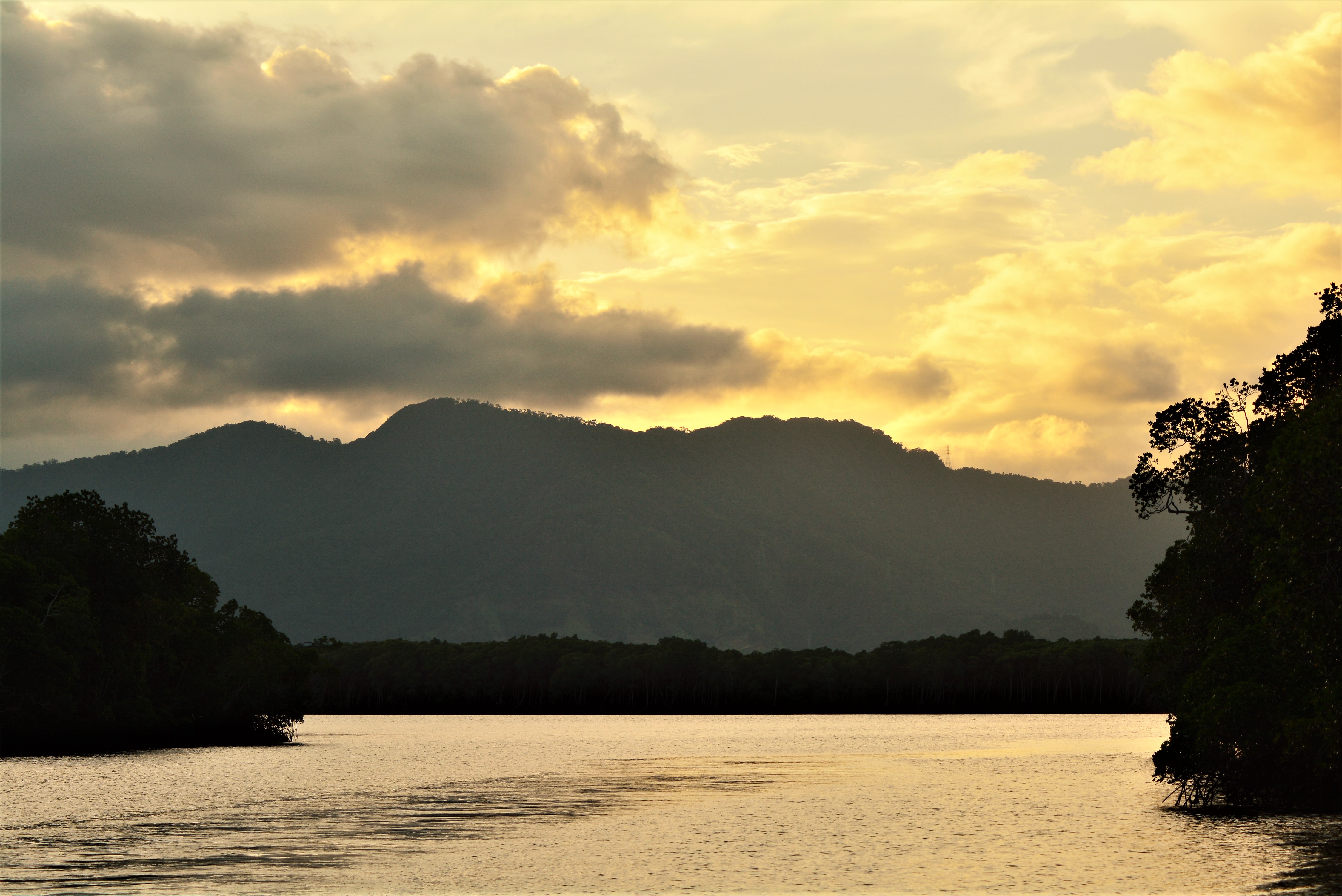 Cairns Sunset Harbour Cruise Woody World Packer