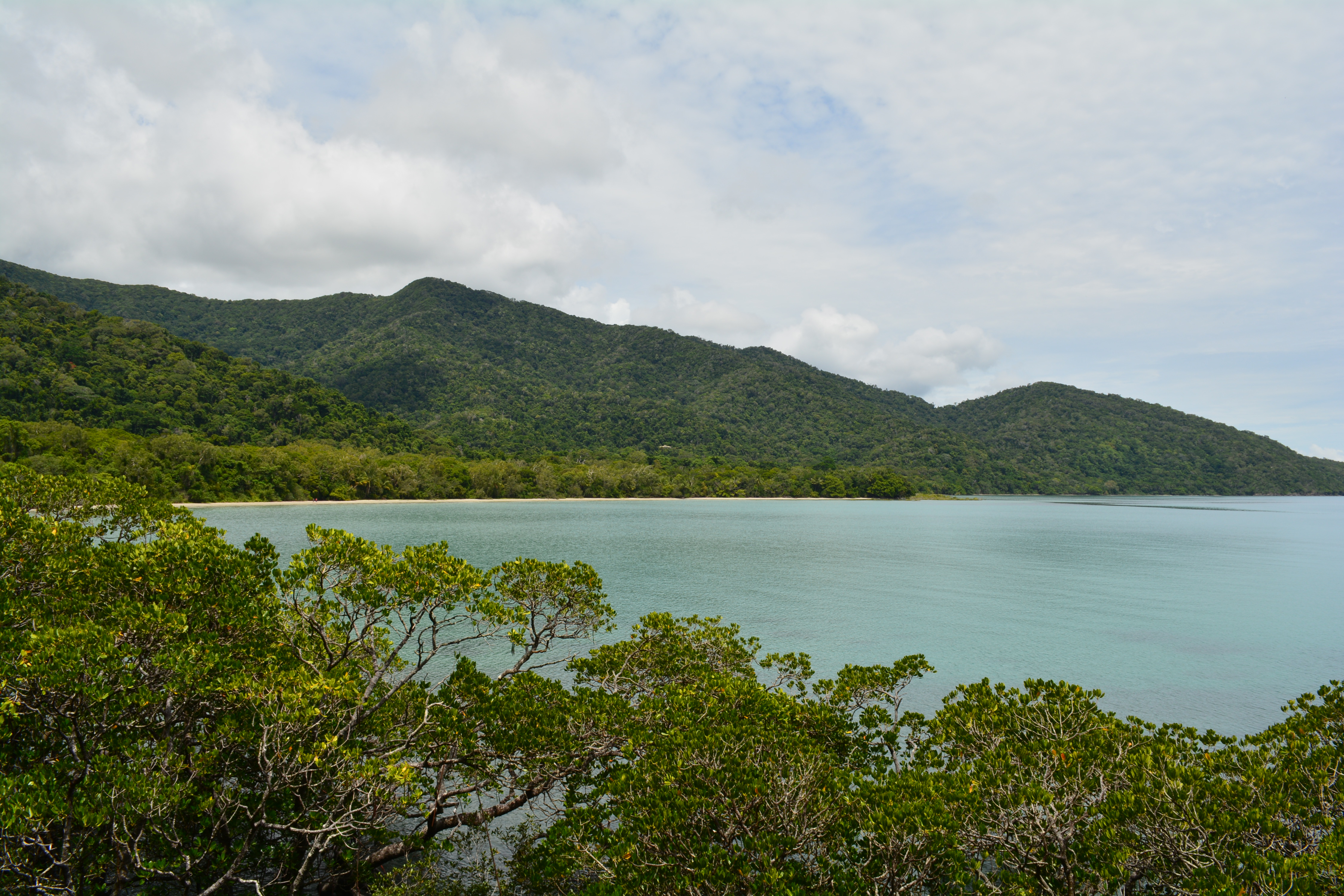 Travel Guide Daintree National Park Where Rainforest meets the Reef