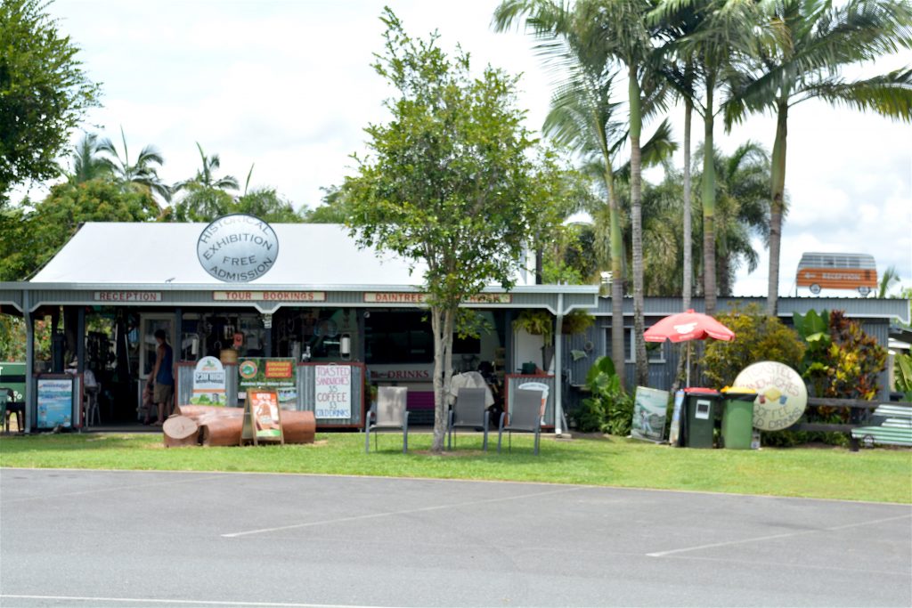 Travel Guide Daintree National Park Where Rainforest meets the Reef Woody World Packer