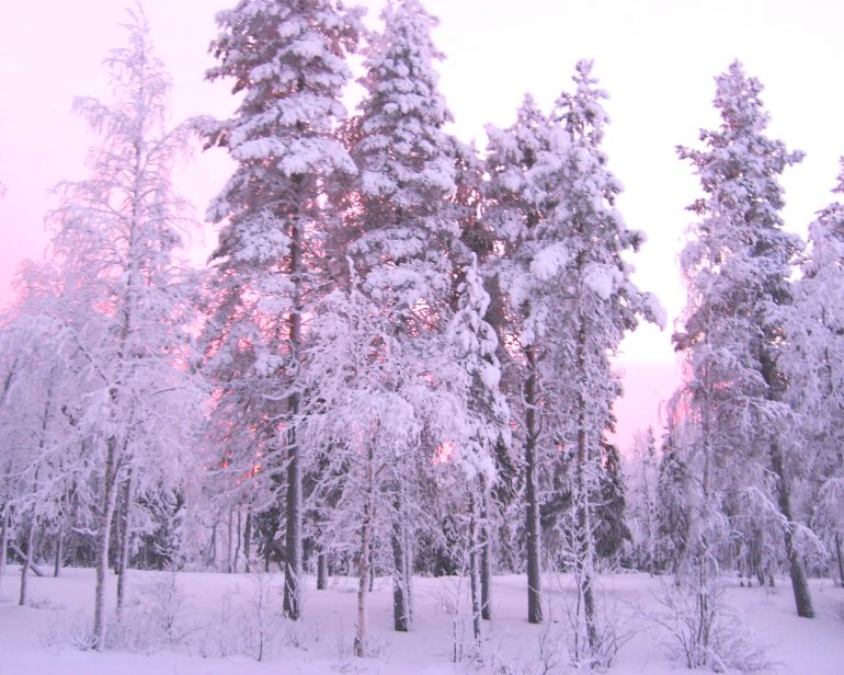 Lapland | Travel to Winter Wonderland | Woody World Packer